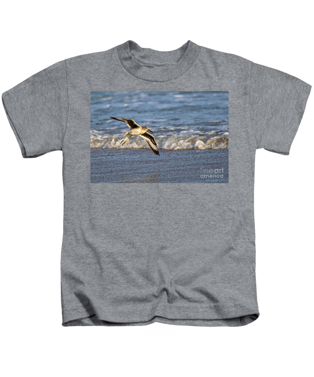 Willet Kids T-Shirt featuring the photograph Glide by DJA Images