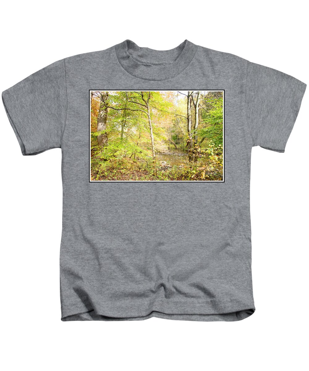 Stream Kids T-Shirt featuring the photograph Glimpse of a Stream in Autumn by A Macarthur Gurmankin