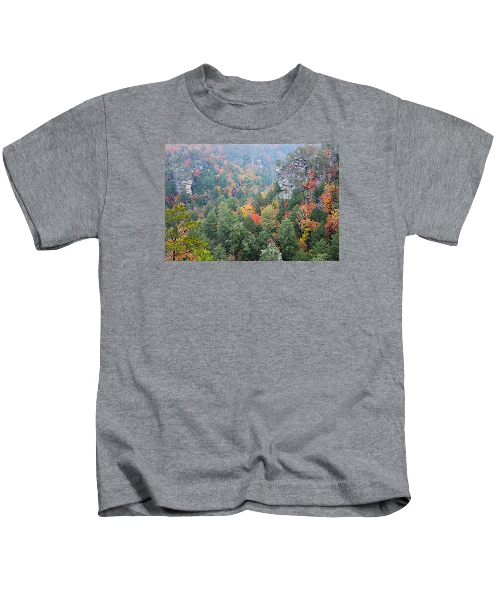 Falls Creek Falls State Park Kids T-Shirt featuring the photograph Gorge At Falls Creek Falls State Park by Alan Lenk