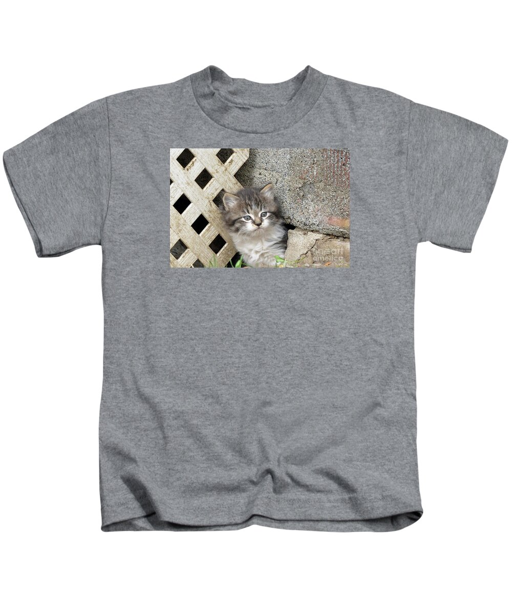 Kittens Kids T-Shirt featuring the painting Gray and White Kitten by Reb Frost