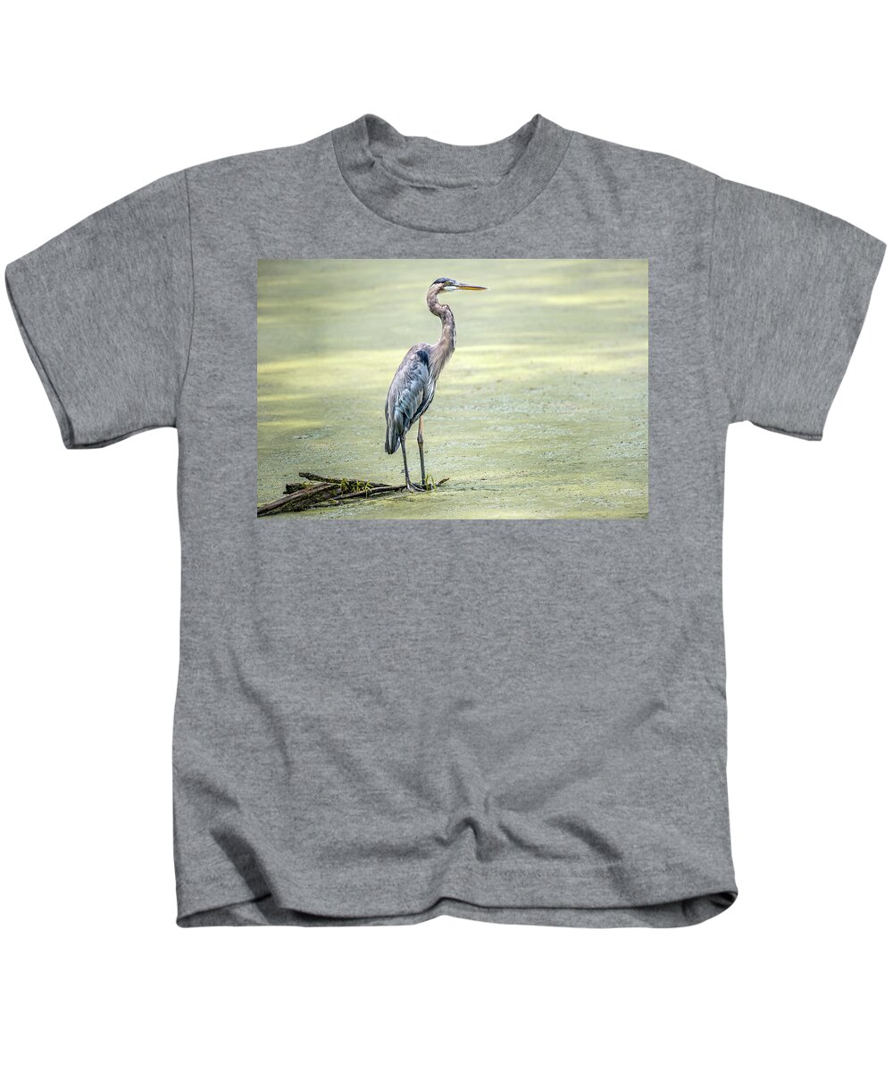 Great Blue Heron Kids T-Shirt featuring the photograph Great Blue Heron standing in a marsh by Patrick Wolf