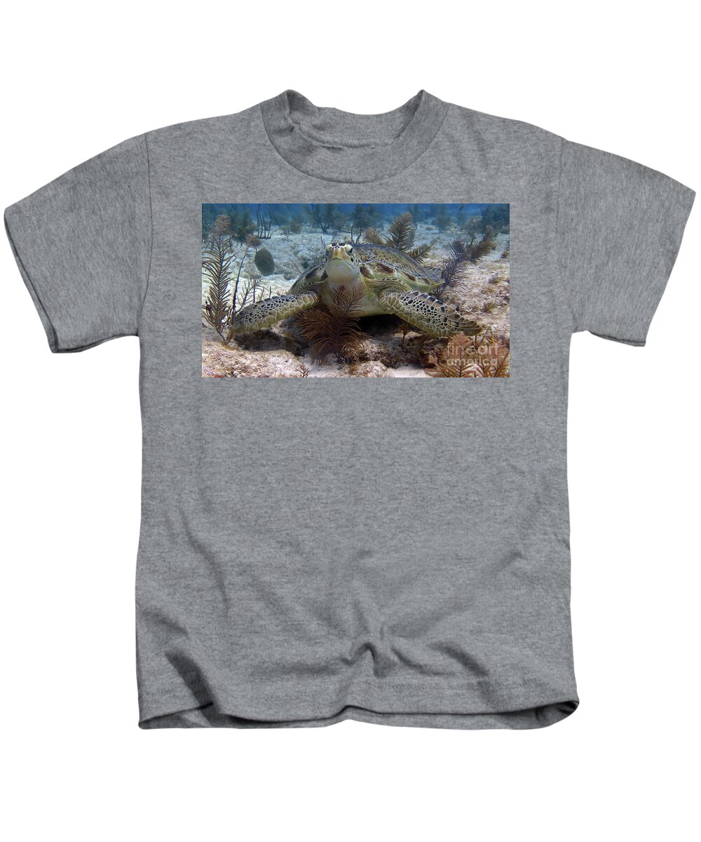 Underwater Kids T-Shirt featuring the photograph Green Sea Turtle by Daryl Duda