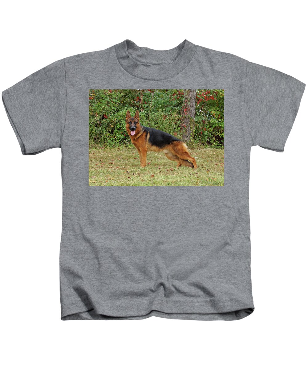German Shepherd Kids T-Shirt featuring the photograph Handsome Rocco by Sandy Keeton