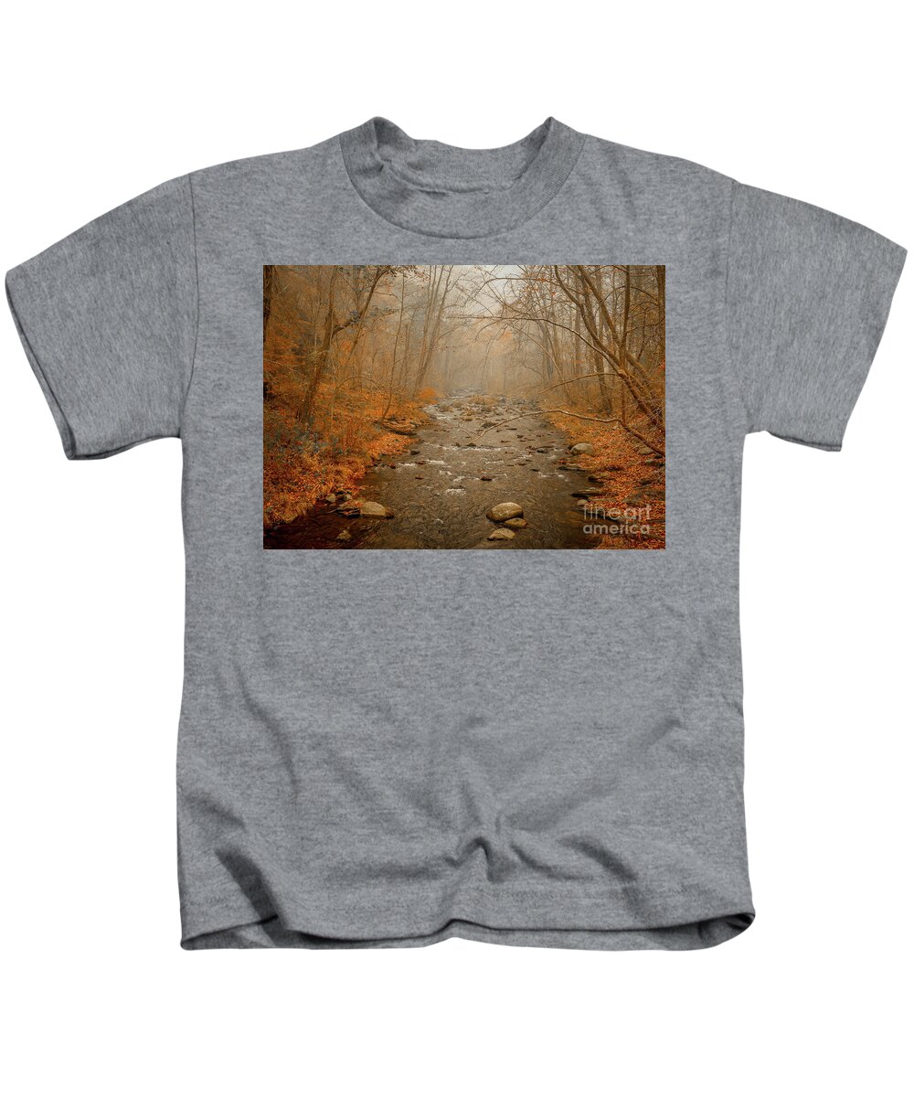 Mountain Kids T-Shirt featuring the photograph Hazy Mountain Stream by Tom Claud