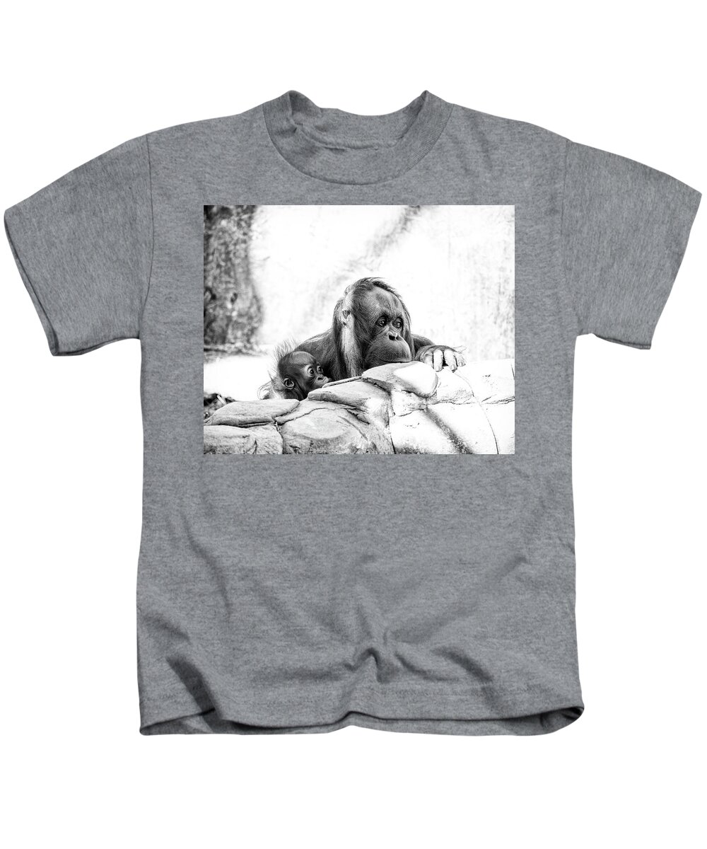 Crystal Yingling Kids T-Shirt featuring the photograph Hiding by Ghostwinds Photography