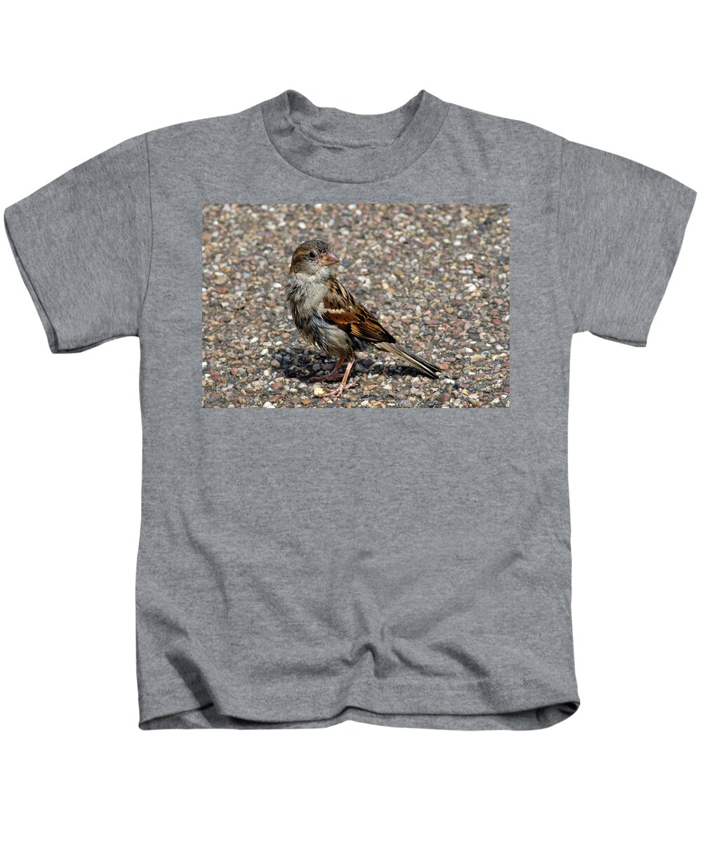 Bakewell Kids T-Shirt featuring the photograph House Sparrow Portrait by Rod Johnson