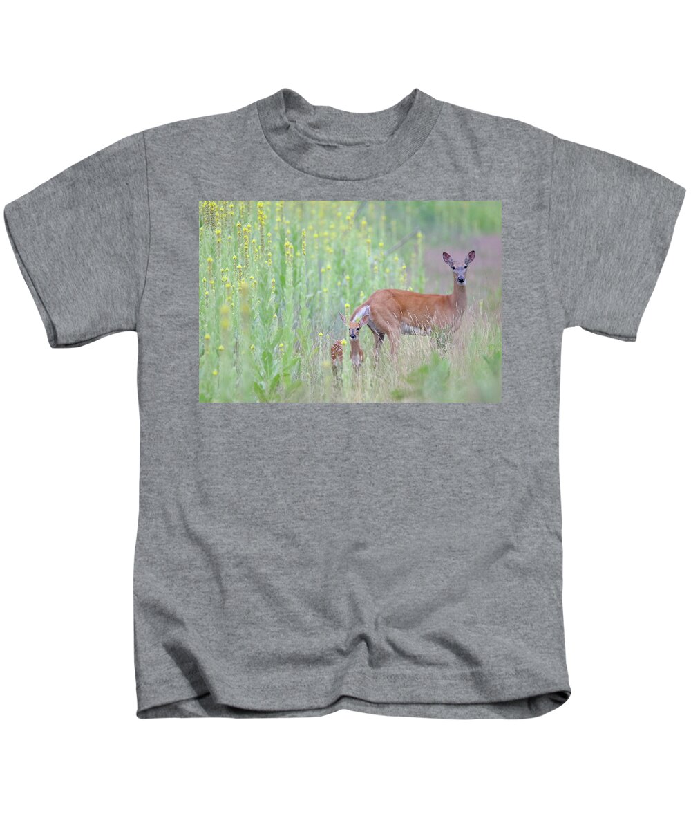 Doem Fawn Kids T-Shirt featuring the photograph Immersed In Mullein Doe Fawn by Brook Burling