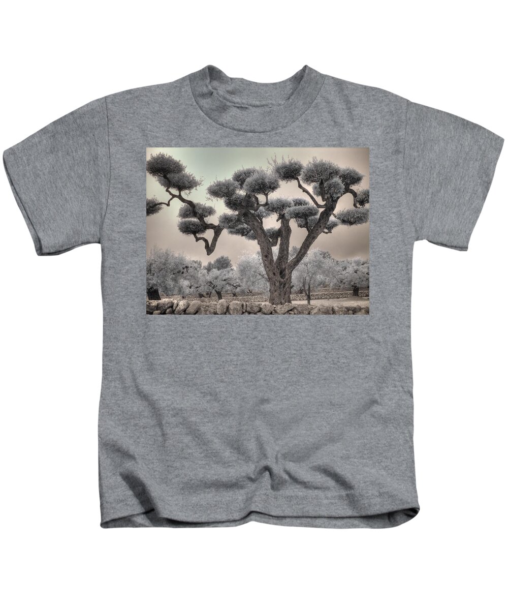 Olive Kids T-Shirt featuring the photograph Infrared Spanish Olive tree Bonsai by Jane Linders