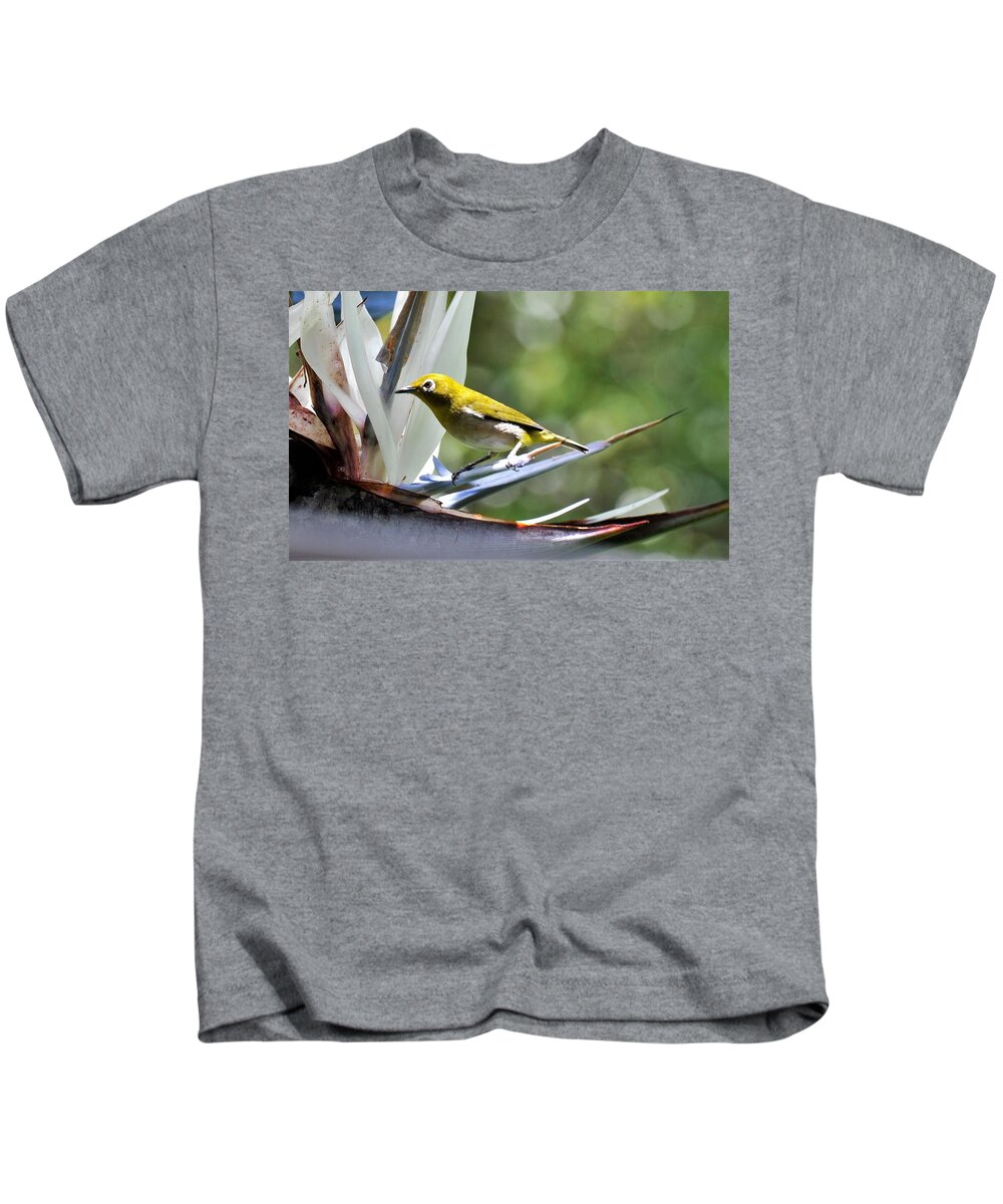 Birds In Hawai'i Kids T-Shirt featuring the photograph Japanese White Eye by Heidi Fickinger