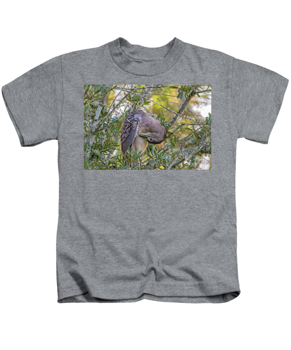 Herons Kids T-Shirt featuring the photograph Juvenile Black Crowned Night Heron Preening by DB Hayes