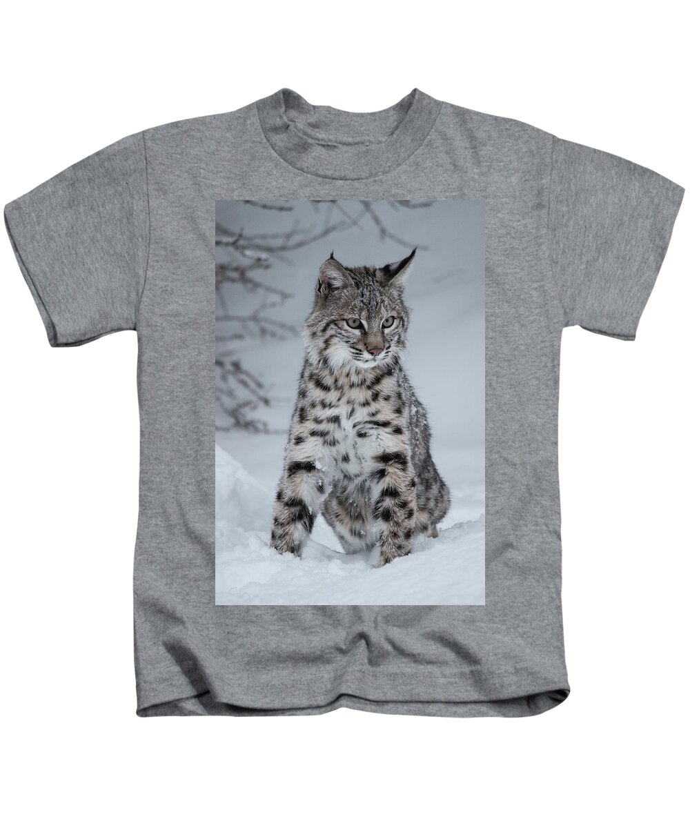 Animal Kids T-Shirt featuring the photograph Juvenile Bobcat in the Snow by Teresa Wilson