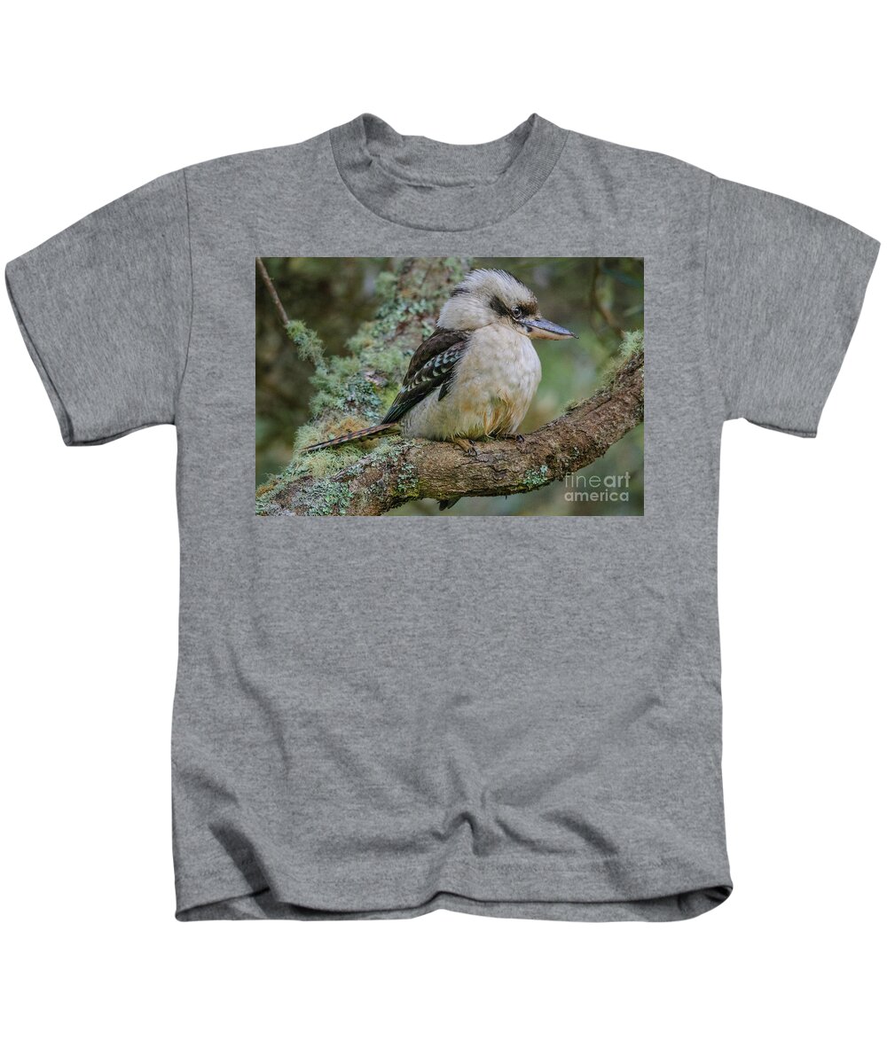 Bird Kids T-Shirt featuring the photograph Kookaburra 4 by Werner Padarin