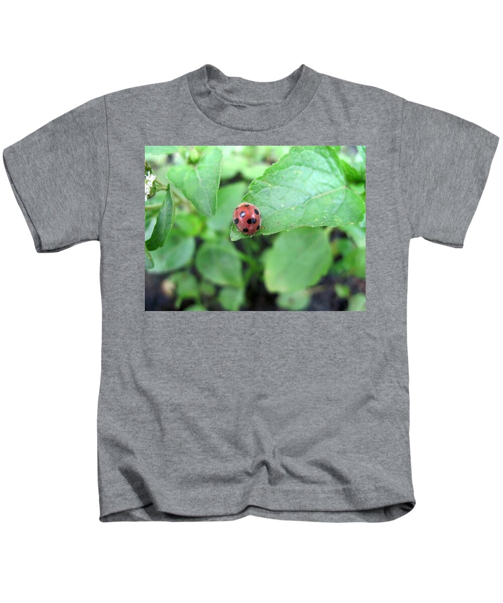 Ladybug Kids T-Shirt featuring the photograph Ladybugs on The Leaves by The Unique Shop