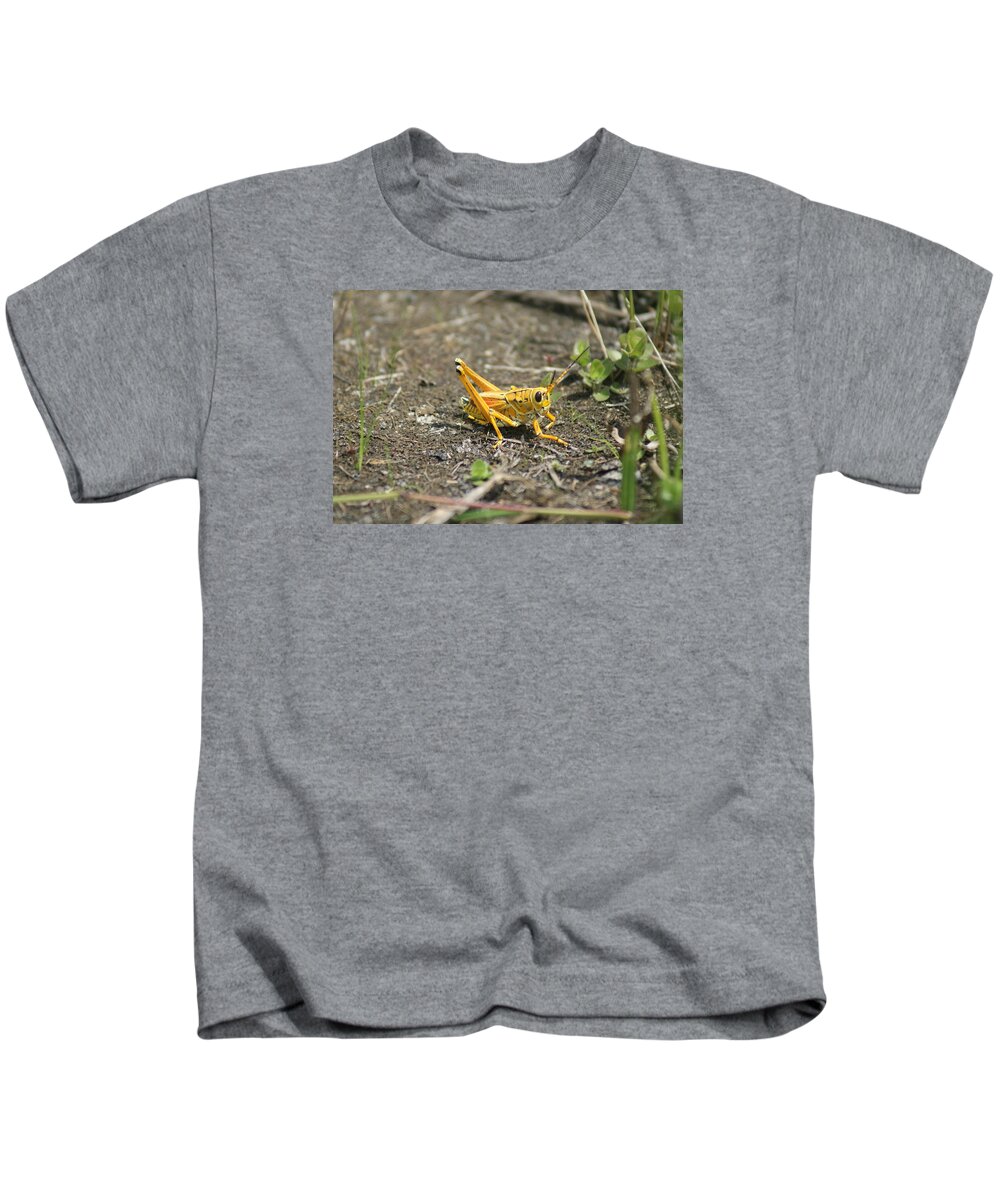 Grasshopper Kids T-Shirt featuring the photograph Lubber by Lindsey Floyd