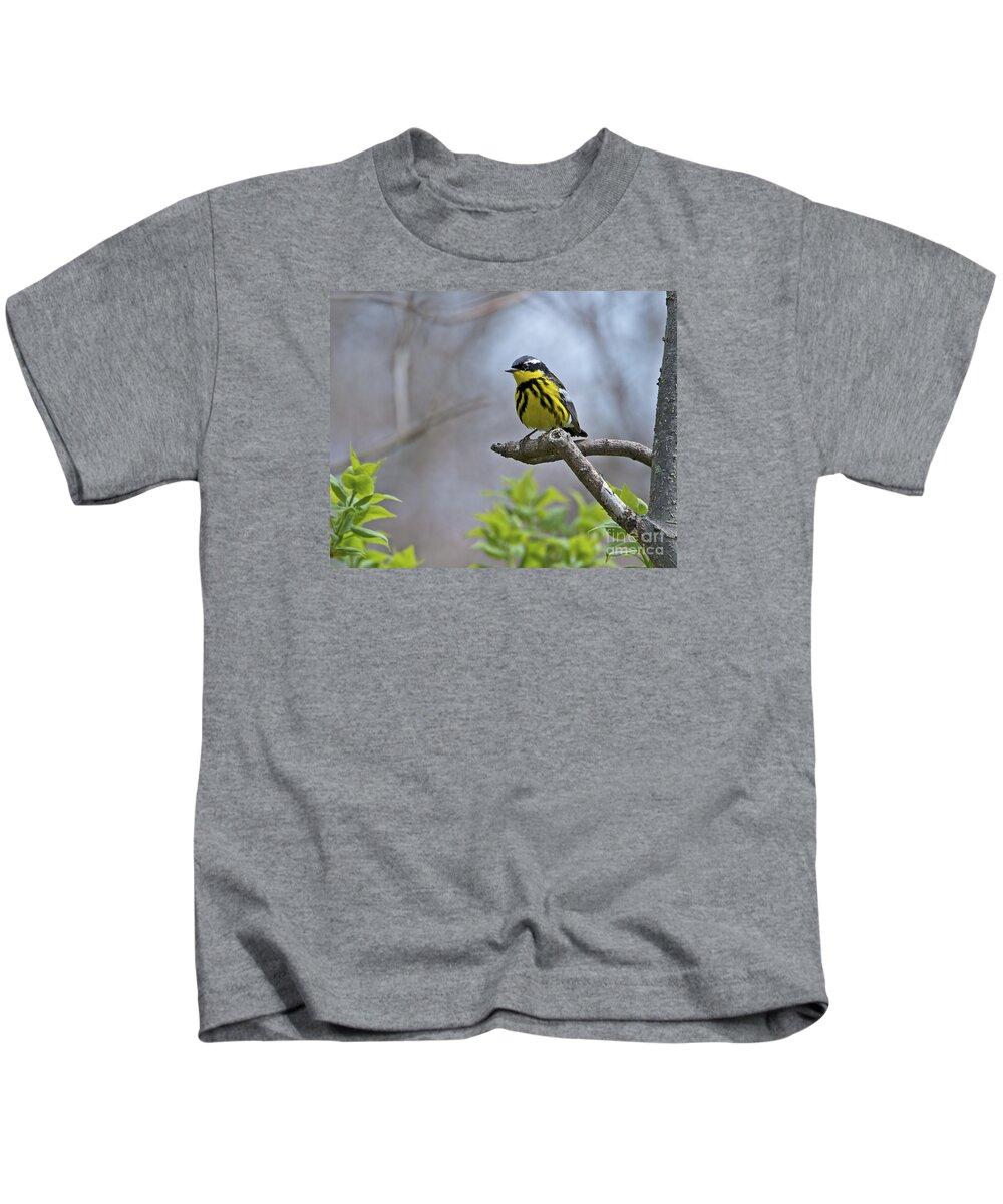 Magnolia Warbler Kids T-Shirt featuring the photograph Maggie... by Nina Stavlund
