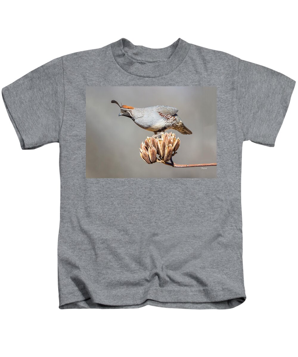 Bird Kids T-Shirt featuring the photograph Male Gambel's Quail on Yucca Pods by Fred J Lord