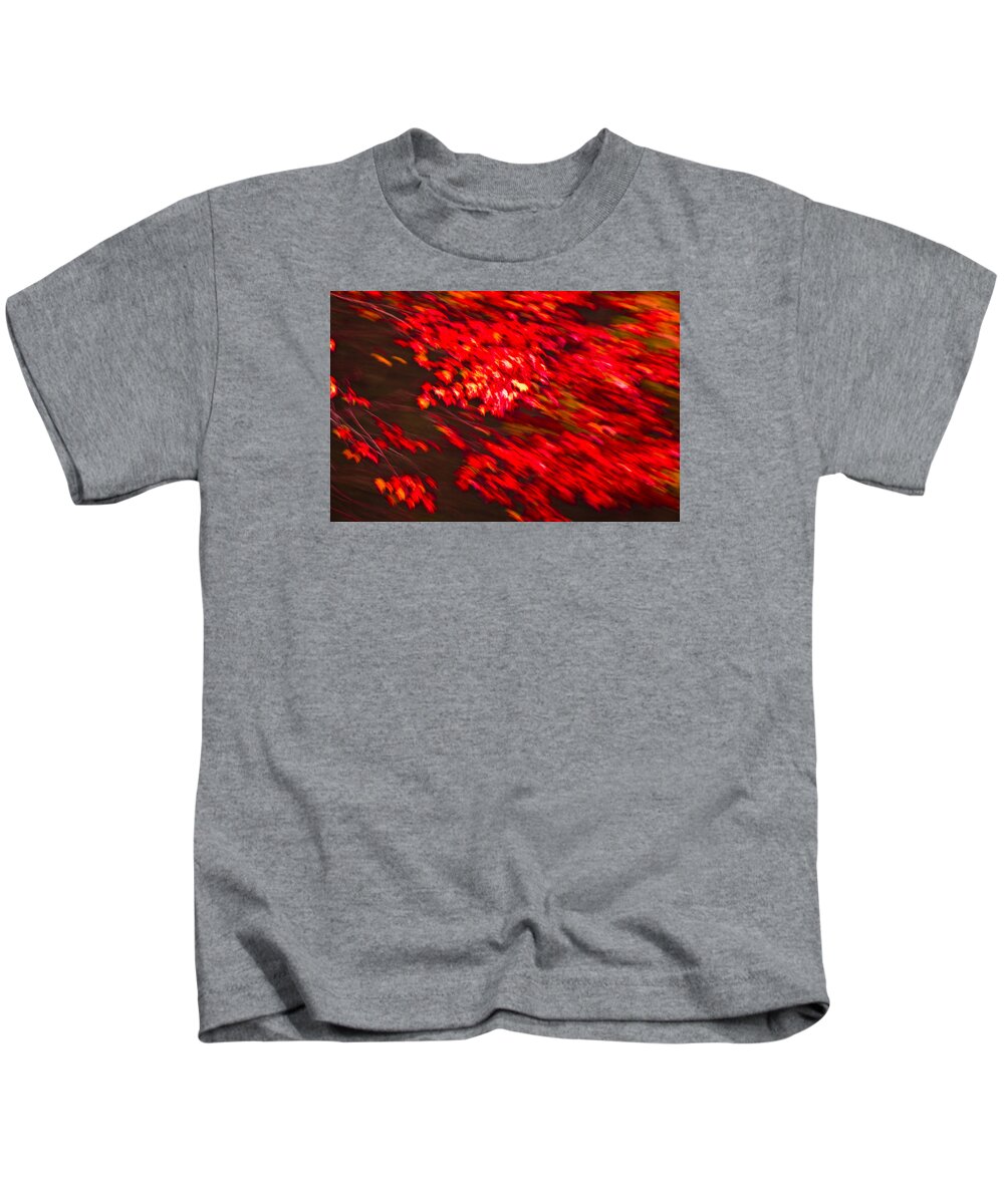 Acadia National Park Kids T-Shirt featuring the photograph Maple Red abstract by Brian Green