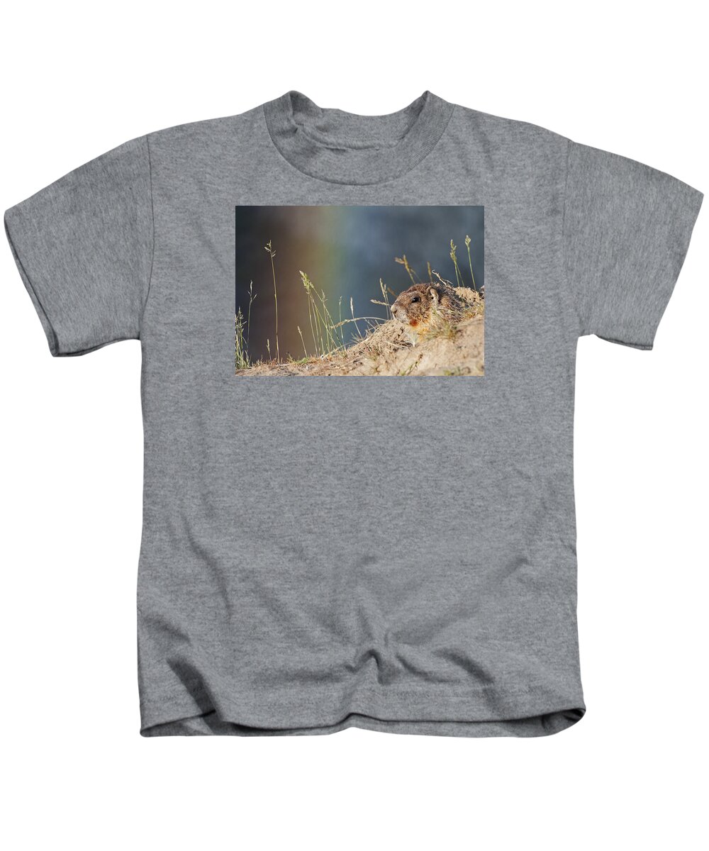 Outdoors Kids T-Shirt featuring the photograph Marmot and Rainbow by Doug Davidson