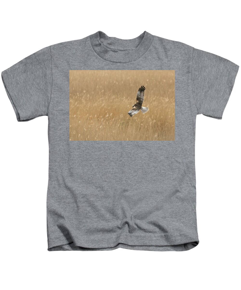 ©wendy Cooper Kids T-Shirt featuring the photograph Marsh Harrier by Wendy Cooper