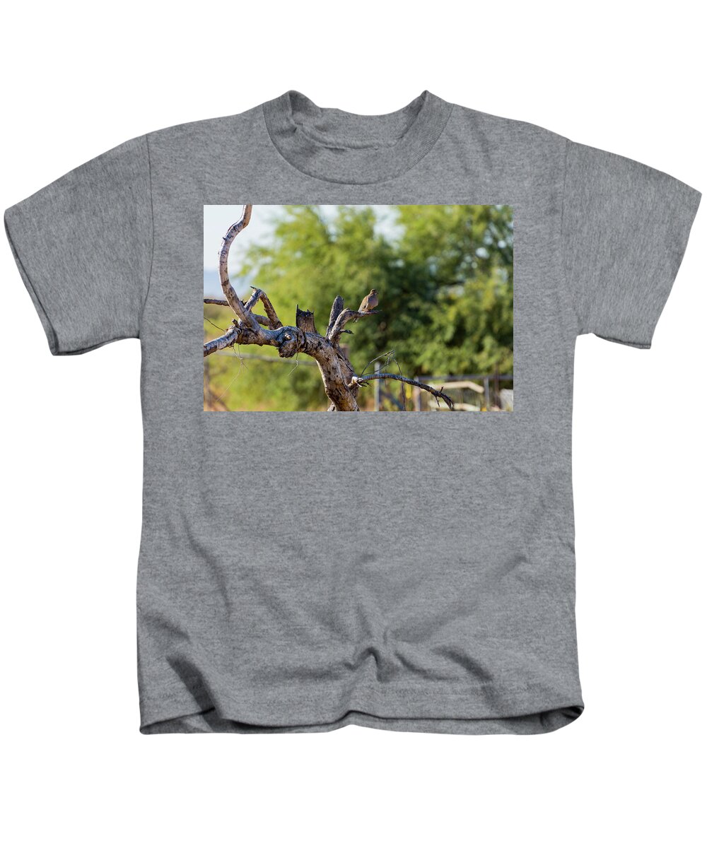 Mourning Kids T-Shirt featuring the photograph Mourning Dove in Old Tree by Douglas Killourie