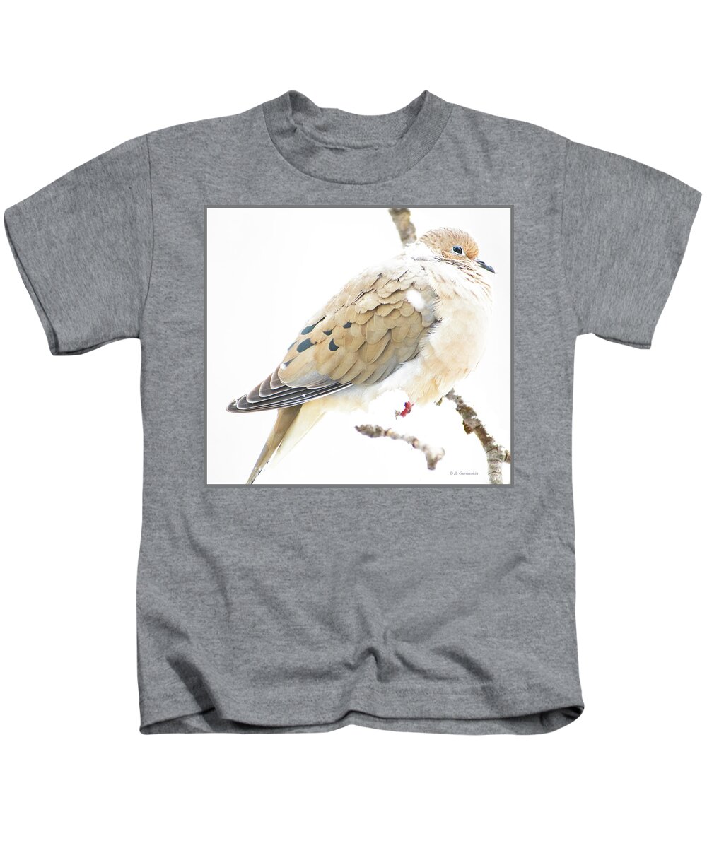 Mourning Dove Kids T-Shirt featuring the photograph Mourning Dove, Snowy Morning by A Macarthur Gurmankin