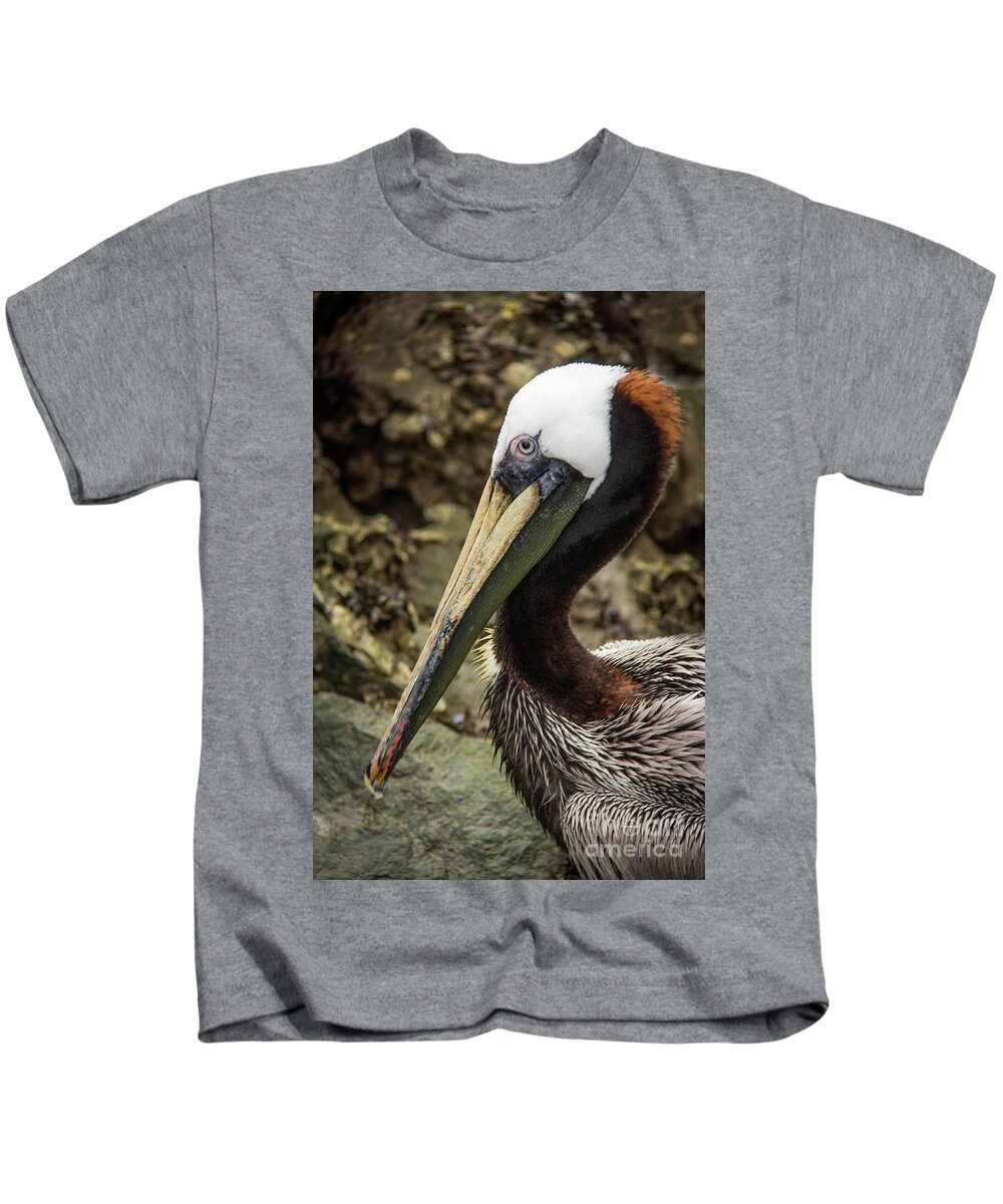 2016 Kids T-Shirt featuring the photograph Mr. Cool Wildlife Art by Kaylyn Franks by Kaylyn Franks