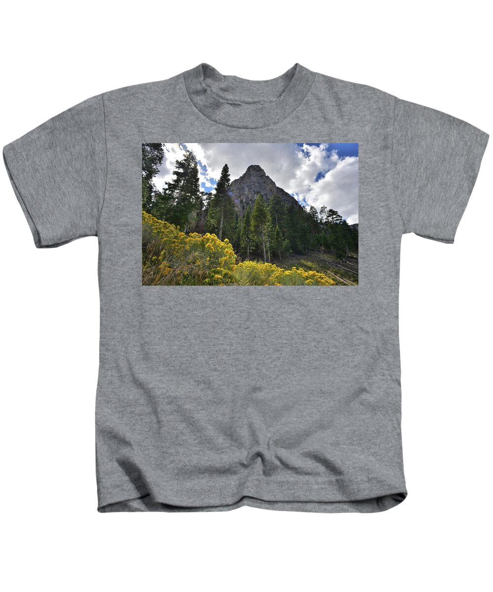 Humboldt-toiyabe National Forest Kids T-Shirt featuring the photograph Mt. Charleston Basin by Ray Mathis