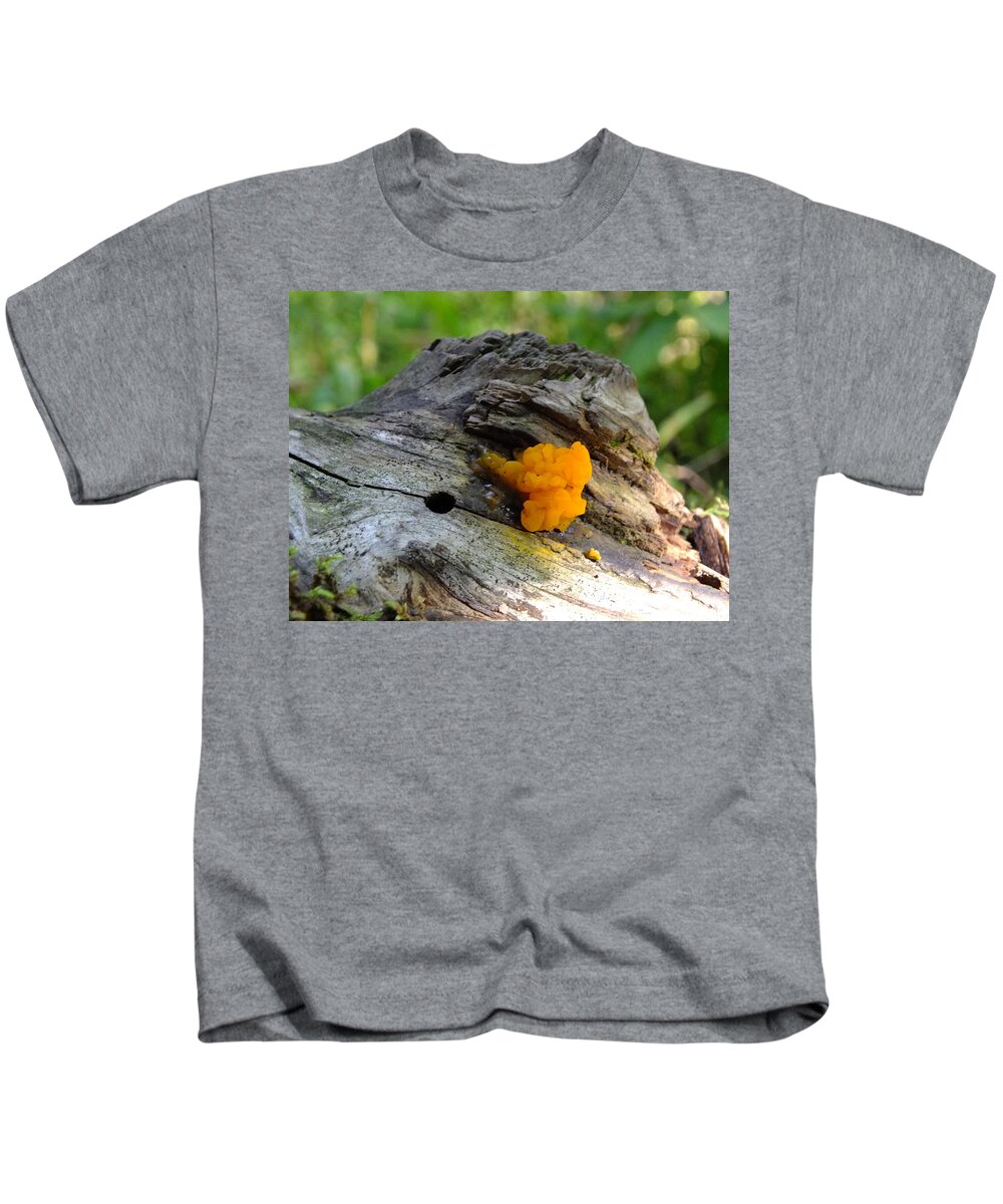Nature Kids T-Shirt featuring the photograph Nature's Art by Peggy King