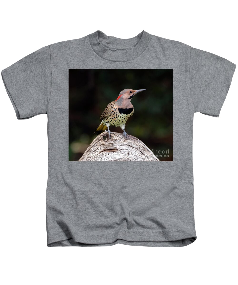 Bird Kids T-Shirt featuring the photograph Northern Flicker by DB Hayes