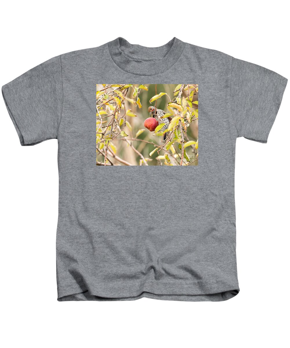 Bird Kids T-Shirt featuring the photograph Northern Flicker in Apple Tree by Dennis Hammer