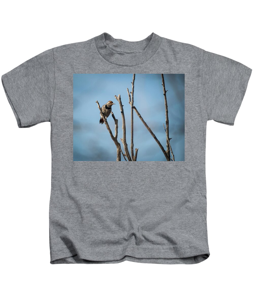 Woodpecker Kids T-Shirt featuring the photograph Northern Flicker Woodpecker by Rick Mosher