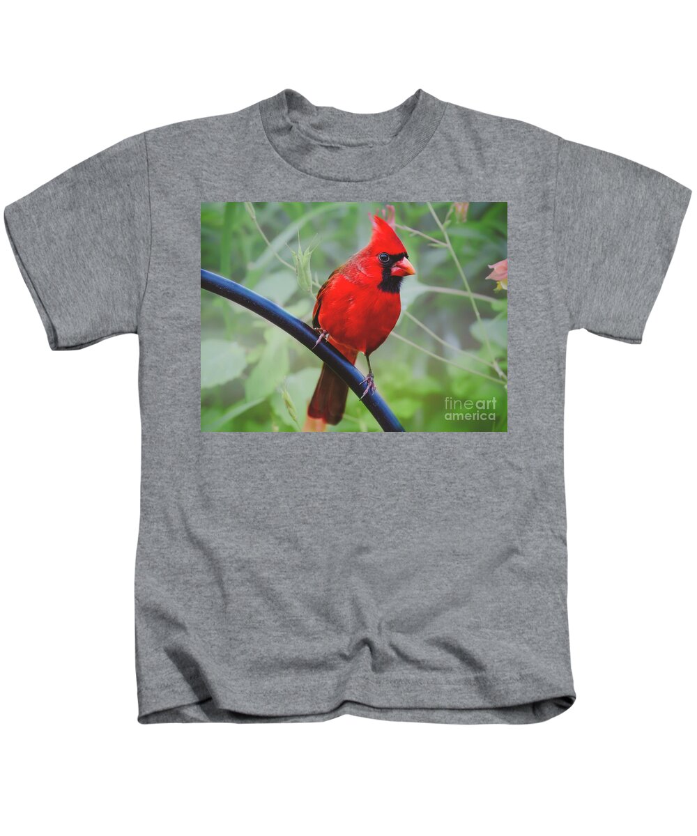 Northern Cardinal Kids T-Shirt featuring the photograph Northern Male Red Cardinal Bird by Peggy Franz