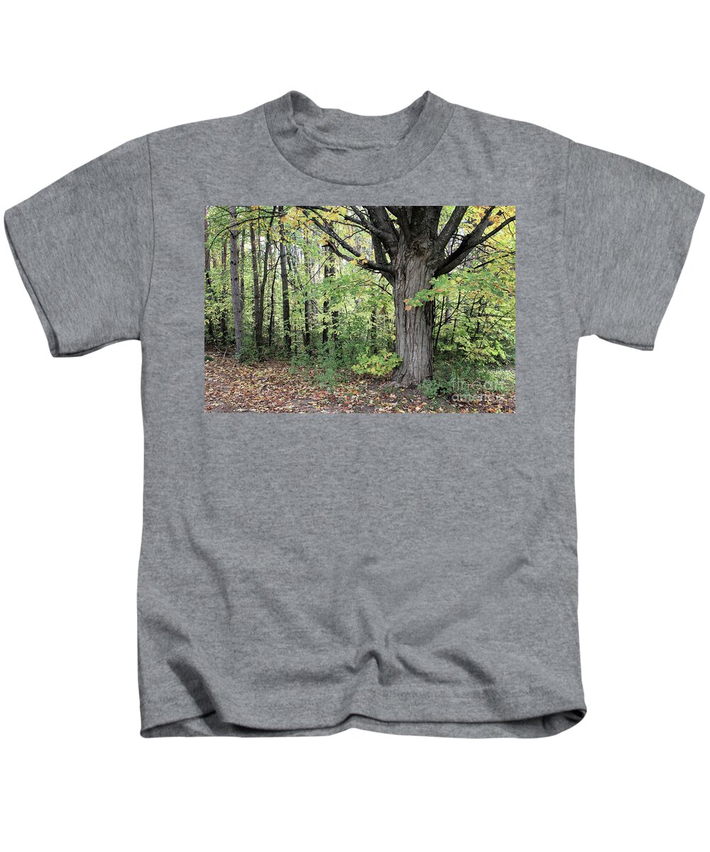 Landscape Kids T-Shirt featuring the photograph October Trees by Laura Kinker