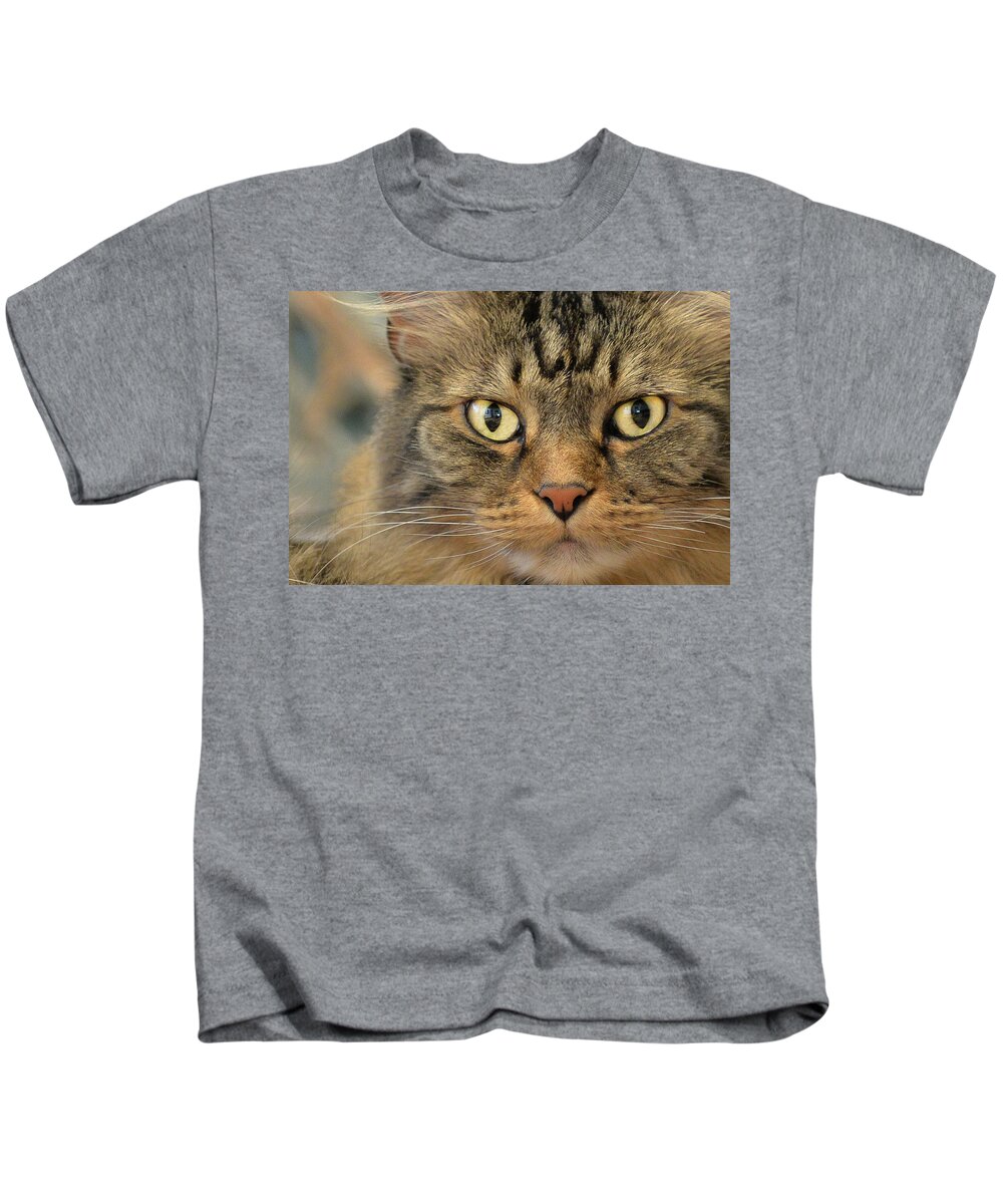 Kitty Kids T-Shirt featuring the photograph On The Prowl by Jennifer Grossnickle