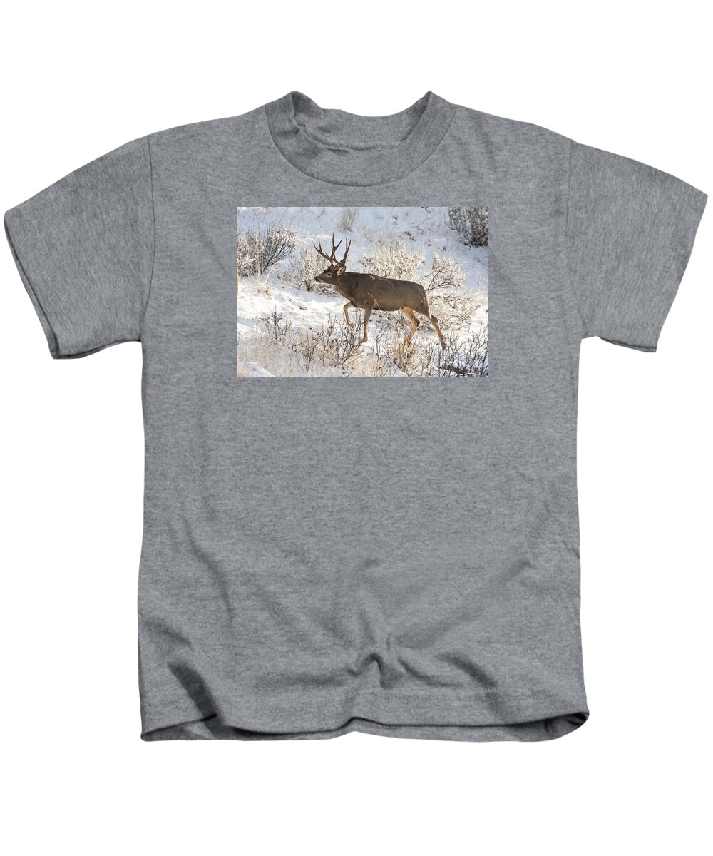 Deer Kids T-Shirt featuring the photograph On the Trail by Douglas Kikendall