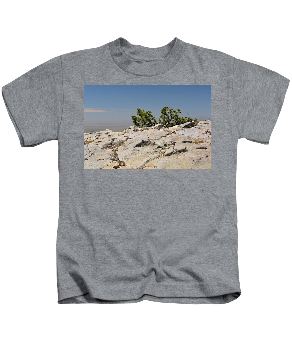 Landscape Kids T-Shirt featuring the photograph On Top of Sandia Mountain by Ron Cline