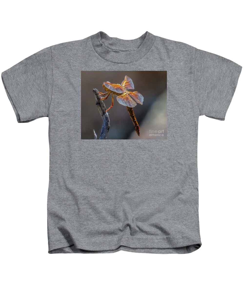 Nature Kids T-Shirt featuring the photograph Dragonfly 2 by Christy Garavetto