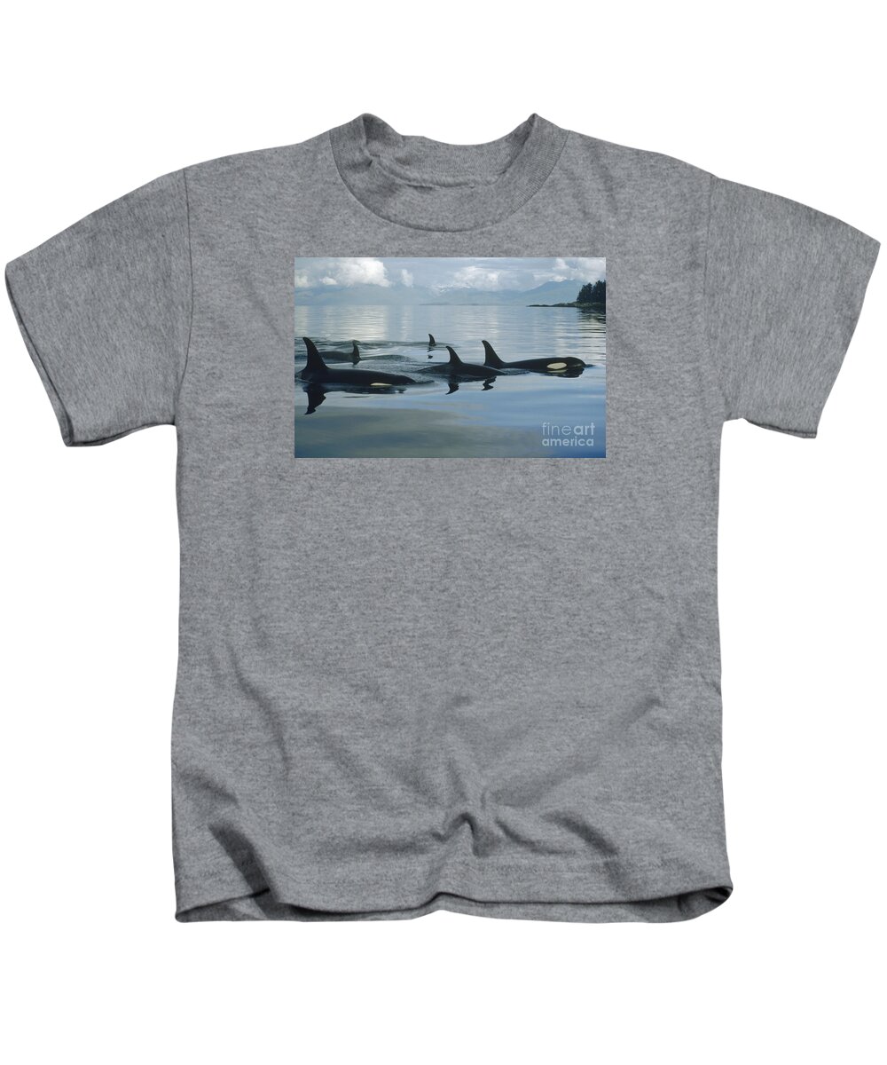 00079478 Kids T-Shirt featuring the photograph Orca Pod Johnstone Strait Canada by Flip Nicklin