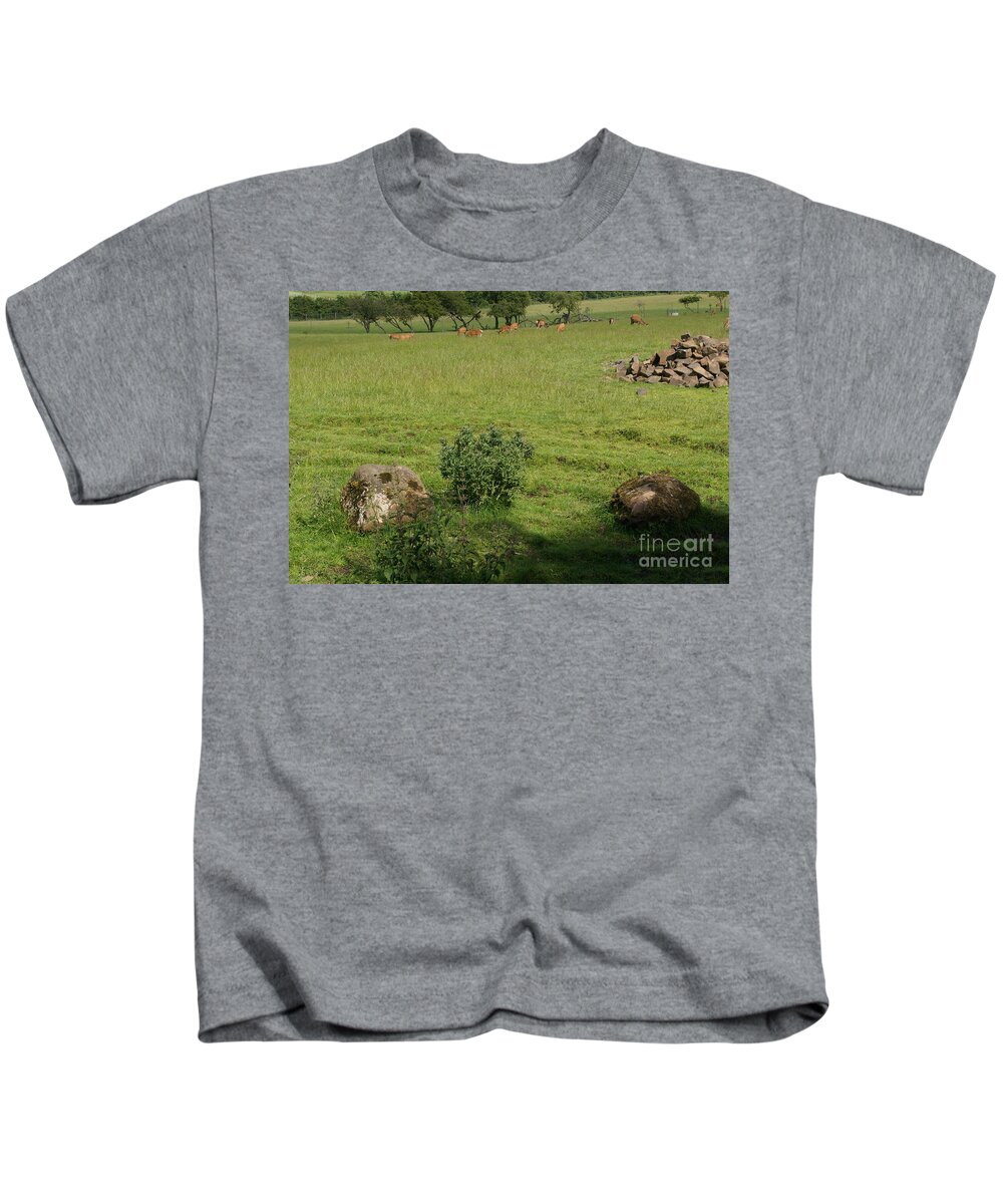 Beecraigs Kids T-Shirt featuring the photograph Pasture. by Elena Perelman