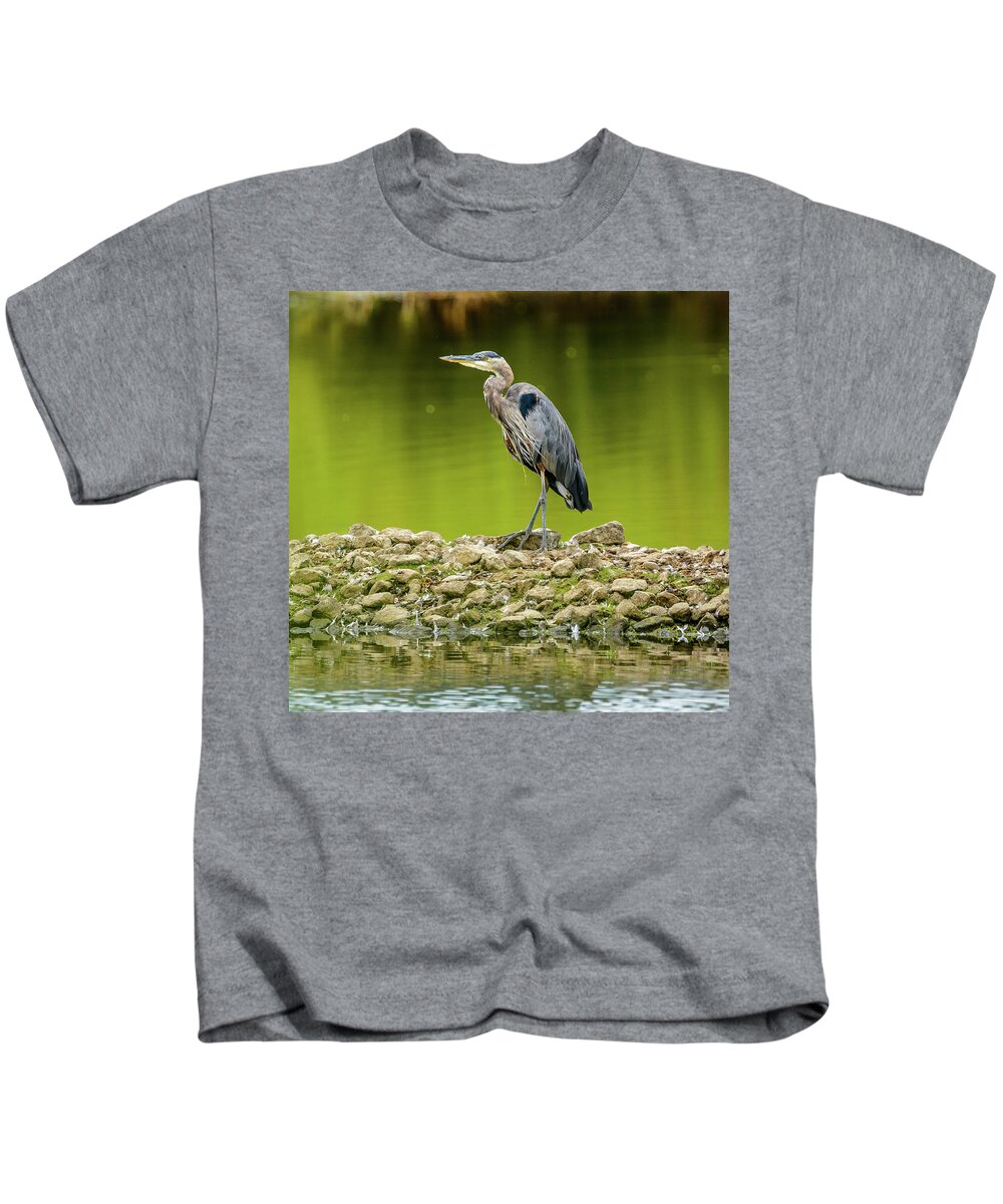Blue Heron Kids T-Shirt featuring the photograph Peaceful Heron by Jerry Cahill