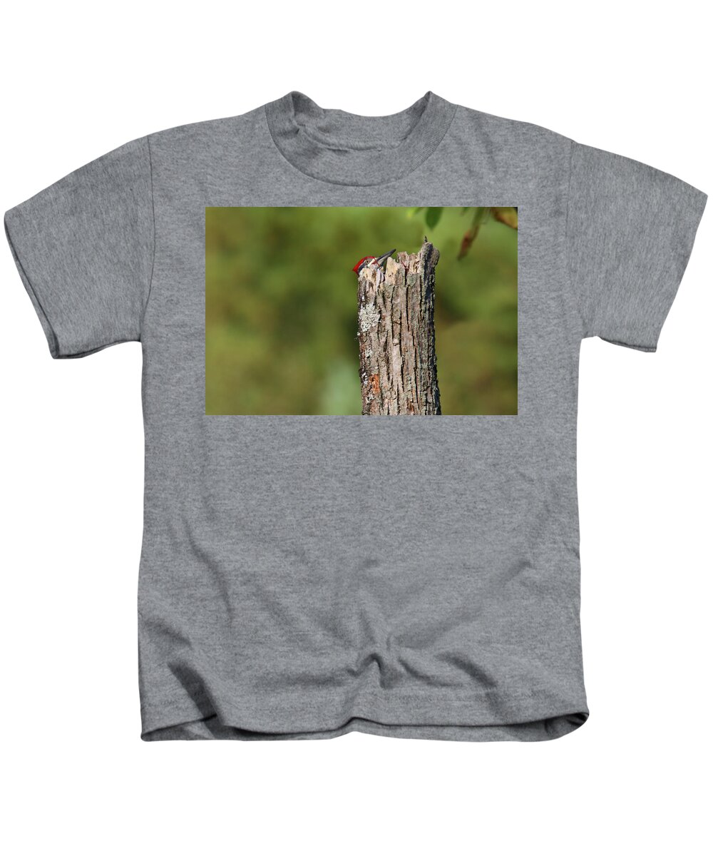Pileated Woodpecker Kids T-Shirt featuring the photograph Peek A Boo Pileated Woodpecker by Brook Burling
