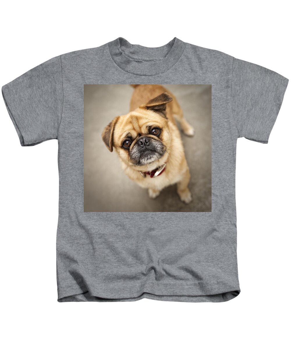Dog Kids T-Shirt featuring the photograph Pug dog 2 by Mike Santis