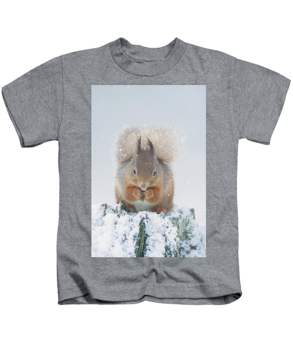 Red Kids T-Shirt featuring the photograph Red Squirrel Nibbles A Nut In The Snow by Pete Walkden