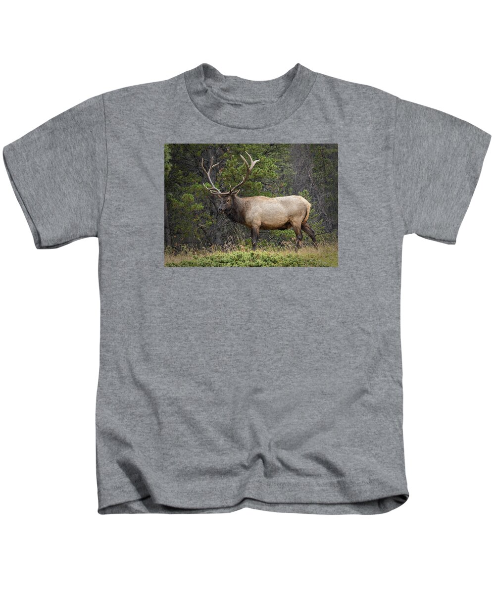 Colorado Kids T-Shirt featuring the photograph Rocky Mountain National Park Bull Elk by John Vose