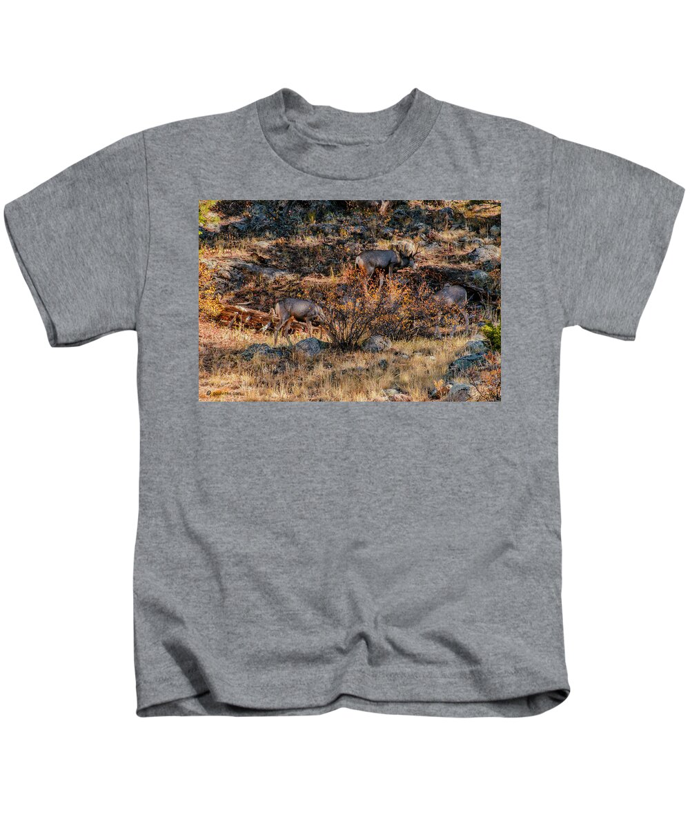  Kids T-Shirt featuring the photograph Rocky Mountain National Park Deer Colorado by Paul Vitko