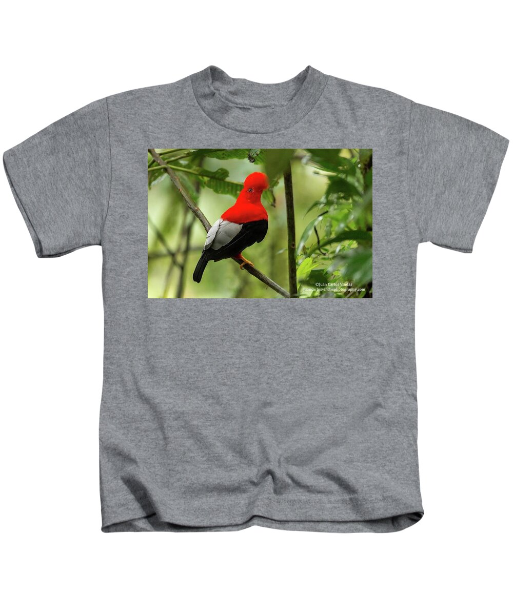 Rupicola Kids T-Shirt featuring the photograph Rupicola by Jackie Russo