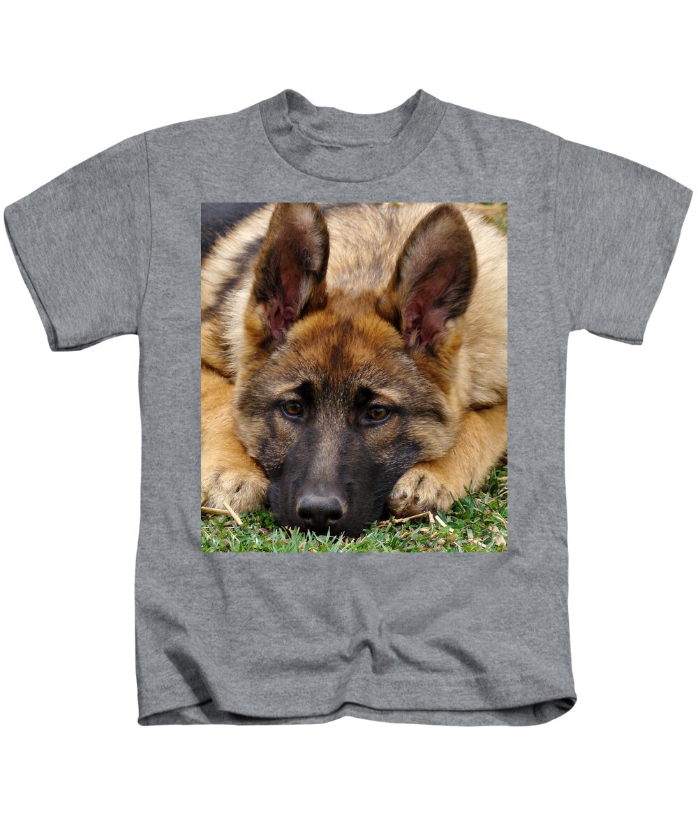 German Shepherd Kids T-Shirt featuring the photograph Sable German Shepherd Puppy by Sandy Keeton