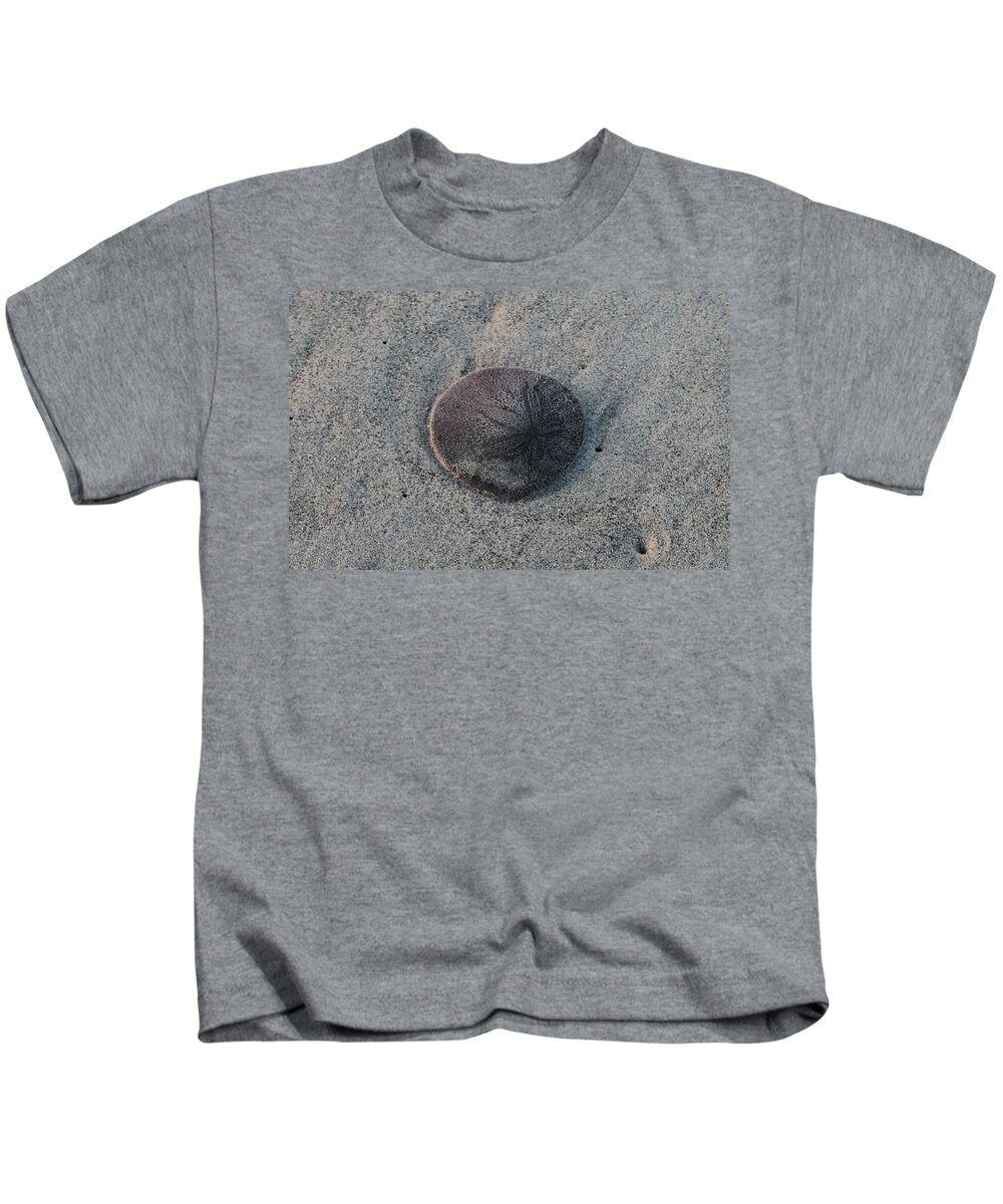 Sand Dollar Kids T-Shirt featuring the photograph Sand Dollar by Christy Pooschke