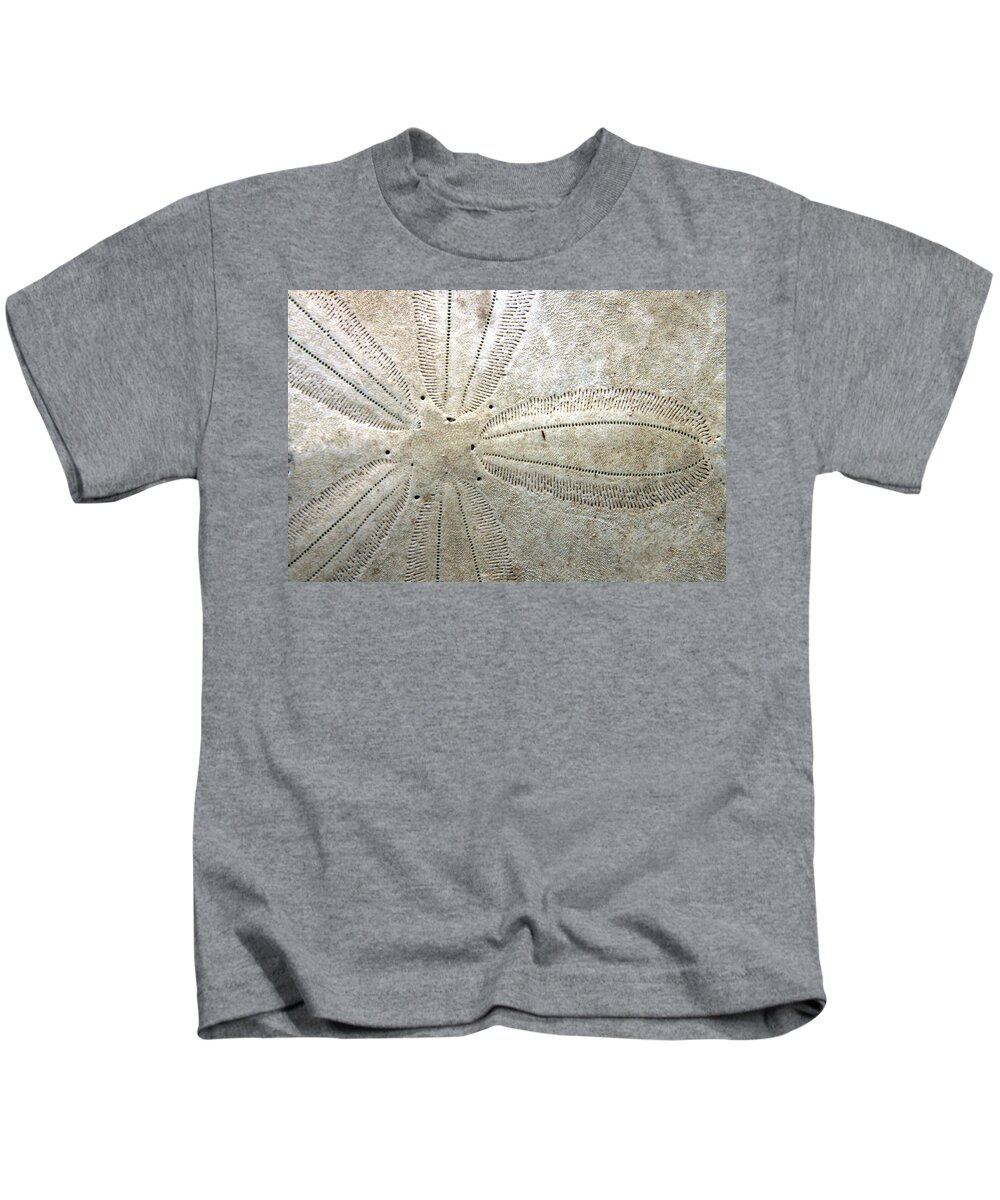 Ocean Kids T-Shirt featuring the photograph Sand Dollar by Ira Marcus