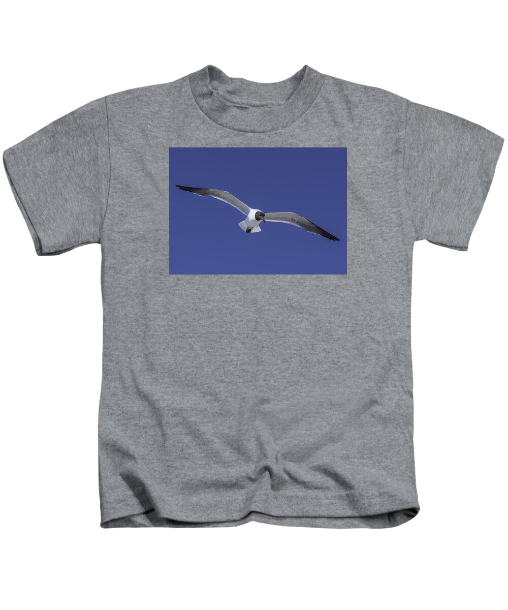 Original Kids T-Shirt featuring the photograph Sea Gull on the wing by WAZgriffin Digital